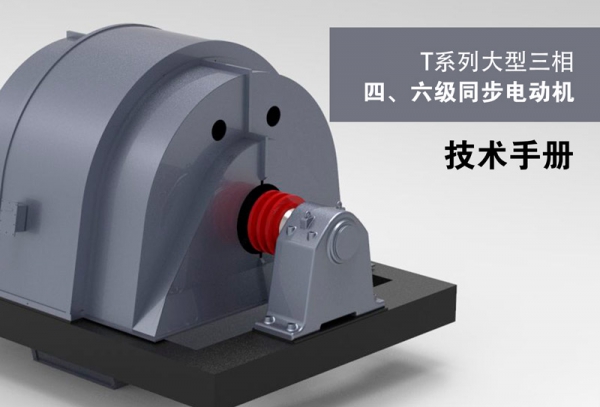 T Series Three-phase Synchronous Motor