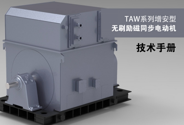 TAW Series Large Scale Three-phase Synchronous Motor