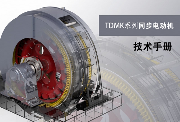 TDMK Series Large Scale Three-phase Synchronous Motor