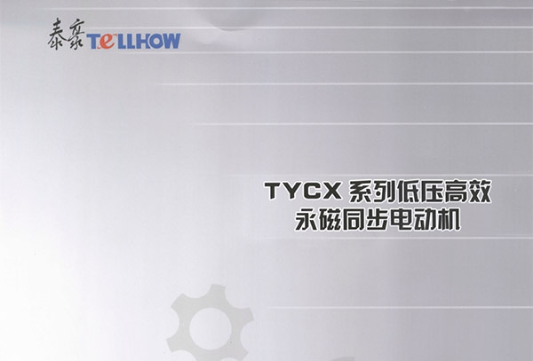 TYCX系列低压高效永磁同步电动机
