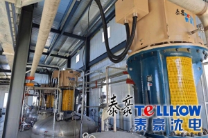 Tellhow Shenyang Electric Machine (Shenyang Jintai Permanent Magnet Technology) Products Support a Major Biomass Enterprise in Horgos, Receiving Praise on Its First Anniversary of Efficient Operation